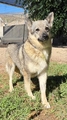 LOBITA Image 1